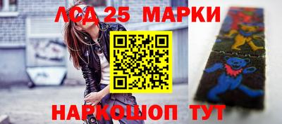 spice Кингисепп