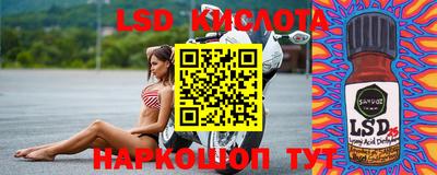 spice Кингисепп
