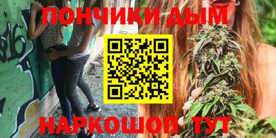 прущие крисы Кимры