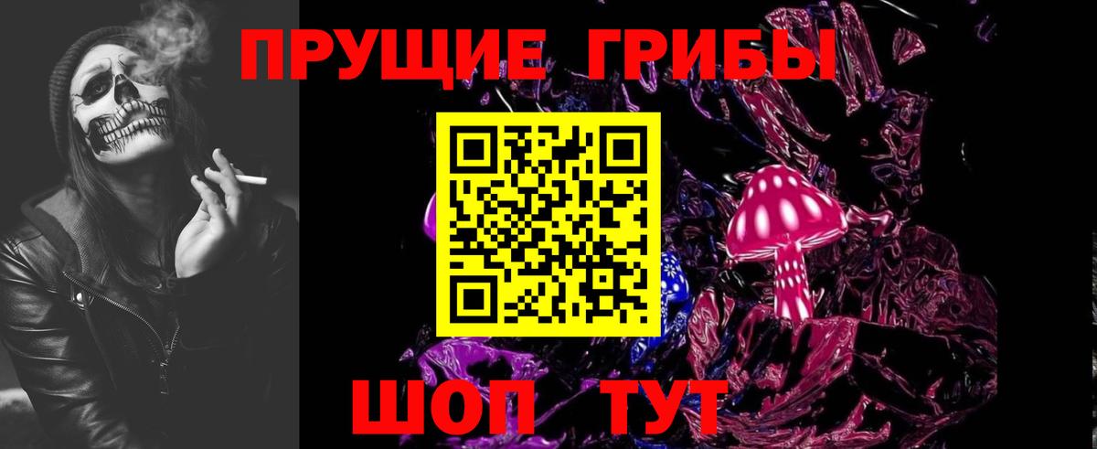Галлюциногенные грибы Psilocybe Краснокаменск