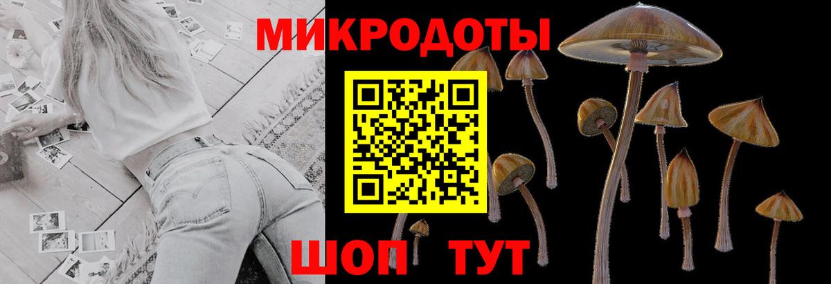 Галлюциногенные грибы Magic Shrooms  Вход с VPN  Краснокаменск 